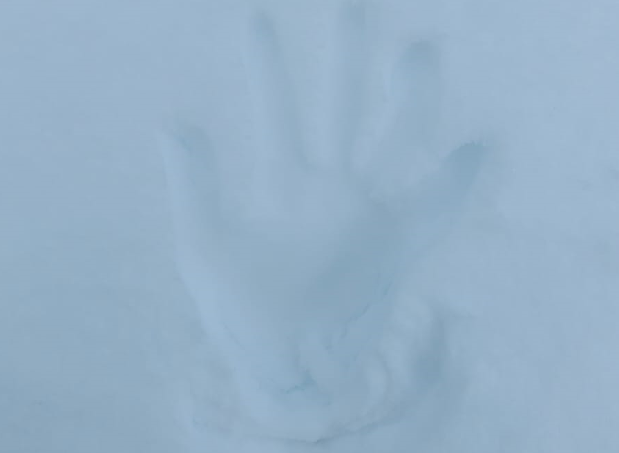 snow hand